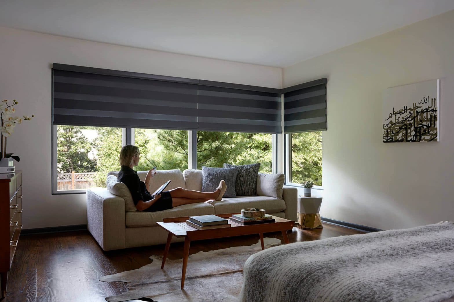 Advantages of Automatic Window Blinds and Shades