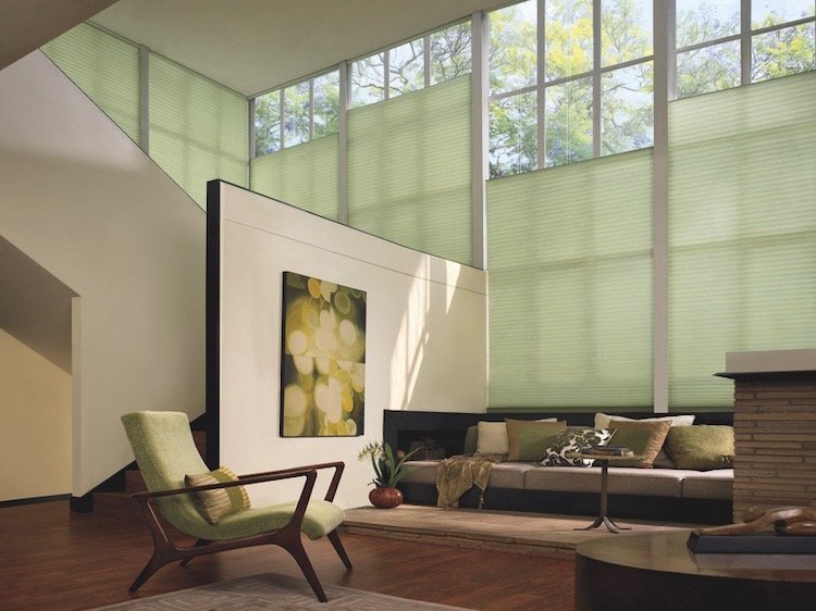 Elegant Window Shades For Living Area