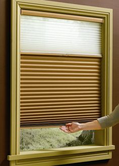 Hunter Douglas Duette Shades