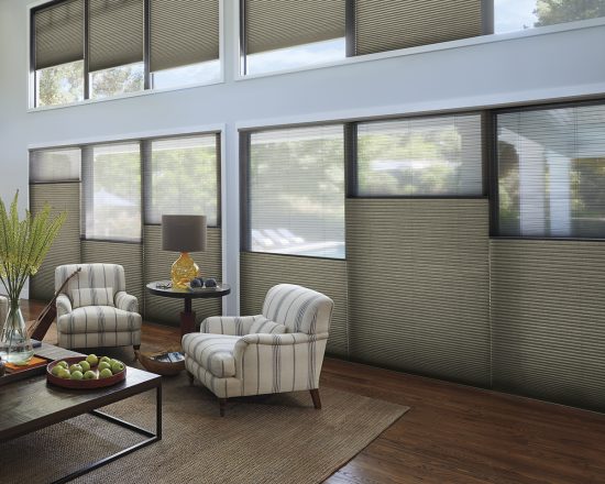 Duette Honeycomb Shades