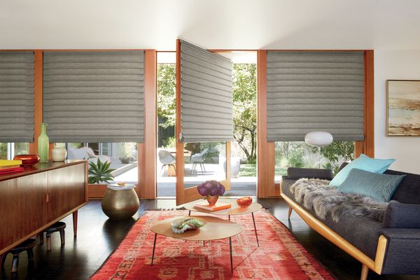 HUnter Douglas Roman Shades