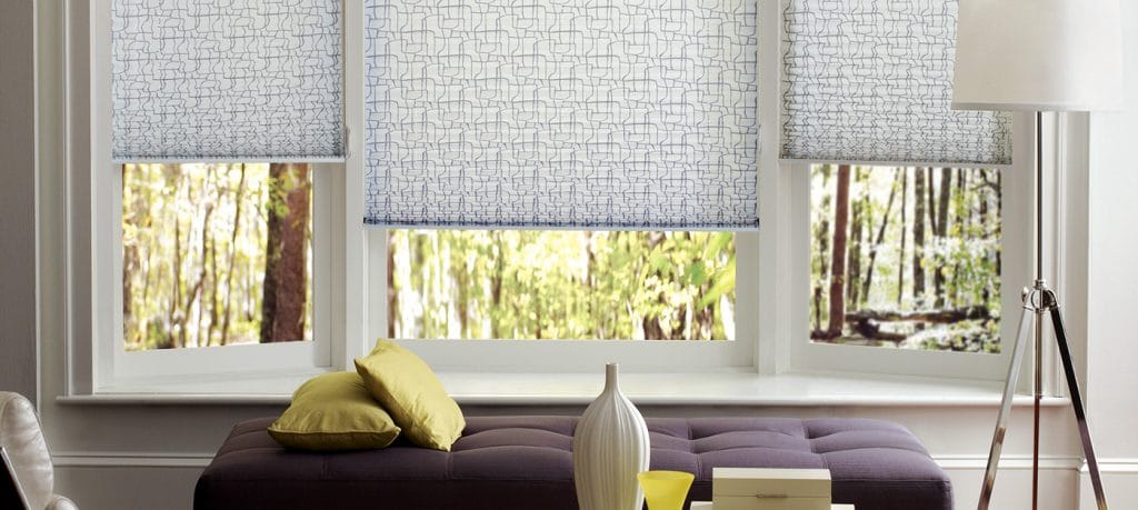 Hunter Douglas Pleated Shades