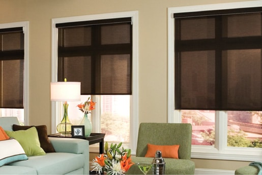 Window Shade Color