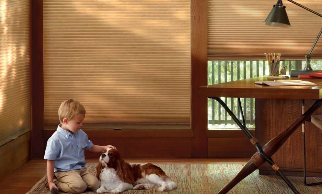 Window Treatments For Homes With Pets