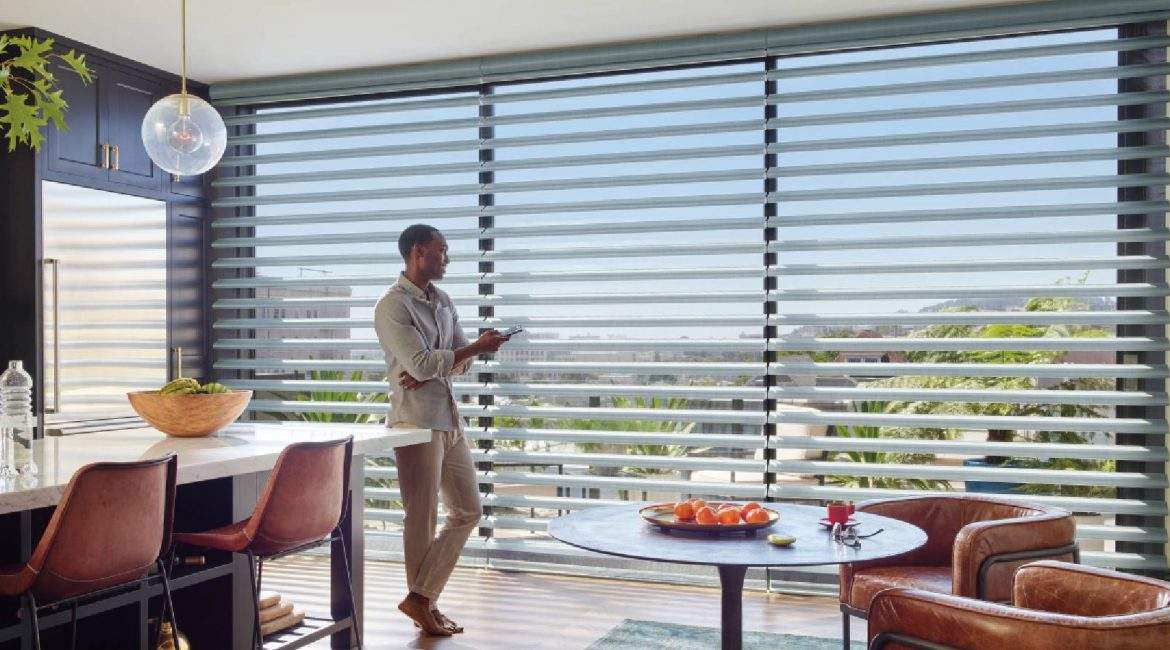 Pirouette® Window Shadings with PowerView® Automation